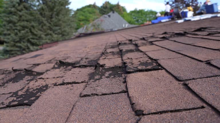 Fast & Reliable Emergency Roof Repairs in Star, ID